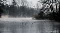 NEIGE-2DEC2010-14