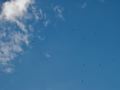 ciels_03