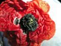 Fleurs 07