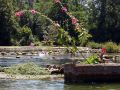 fleurs_touvre_28