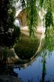 PEKIN_0690