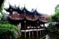 SHANGHAI_3491