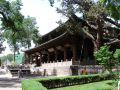 TAYUAN_2299