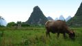 YANGSHUO_3089
