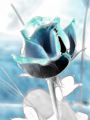 dessin_lydia105