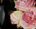 rose laque lydia