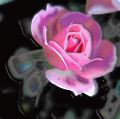 dessin_lydien80