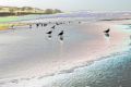 mouettes_sur_plage