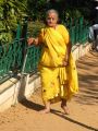 lydia inde 0196