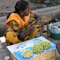 inde Lydia 62