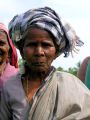 lydia inde 0031