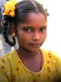 lydia inde 0040
