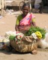 lydia inde 0045