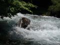 montagne_38