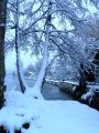 Lydia neige 12