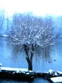 Lydia neige 14