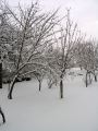 Lydia neige 18