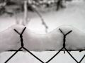 Lydia neige 19