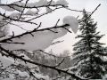 Lydia neige 20