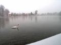 Lydia neige 03