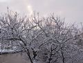 NEIGE2008-07