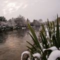 NEIGE2008-09