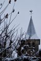 NEIGE2008-21