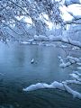 Lydia neige 07