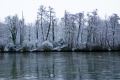 NEIGE2008-32