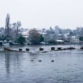 NEIGE2008-33