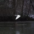 NEIGE2008-37