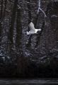NEIGE2008-38