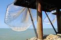 Carrelets_0071
