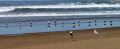 lydia_ocean11