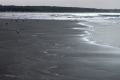 lydia_ocean41