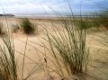 Dunes
