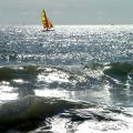 Voile_jaune