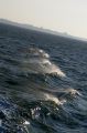 large_de_royan
