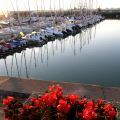 port_Royan