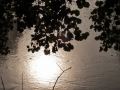 reflets_01