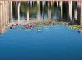nouv_reflets_lydia39
