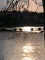 reflets_14