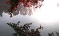 symphonie de couleurs