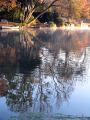 reflets_21