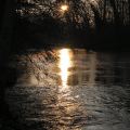 reflets_26