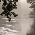 reflets_03