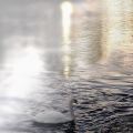 reflets_30