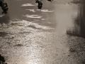 reflets_04