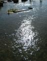 reflets_05