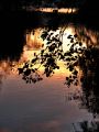 reflets_08